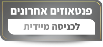 כפתור אפור על הבאנר